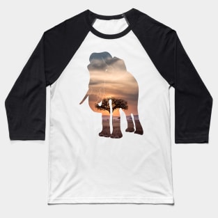 Elephant in the savanna Baseball T-Shirt